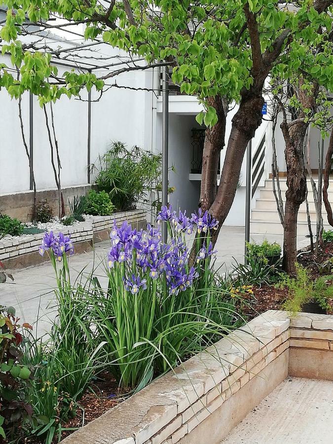 Apartman 1 자다르 외부 사진